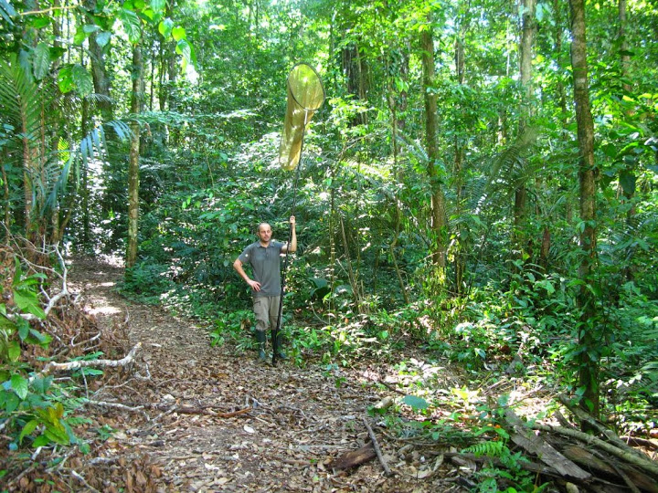 Le site de capture (prs du Gte Moutouchi, Plateau des Mines, Guyane, novembre 2013) de P. vercingetorix. Photo : A. Passerieux